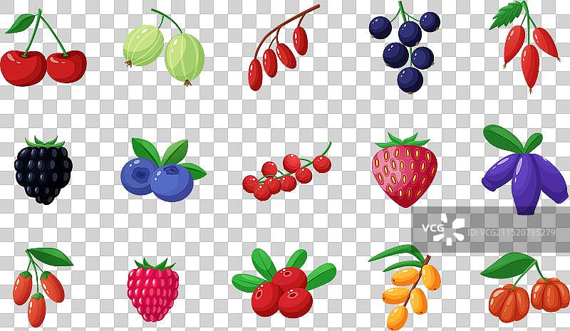 卡通野生花园浆果醋栗图片素材