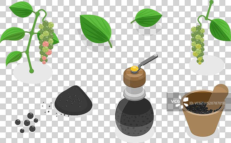 2.5D等距扁平化黑胡椒套装图片素材