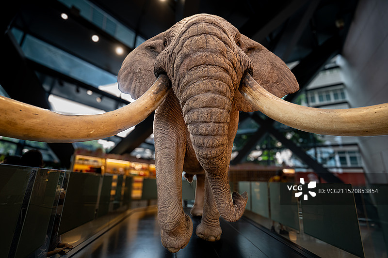 成都博物馆藏品文物，四川图片素材