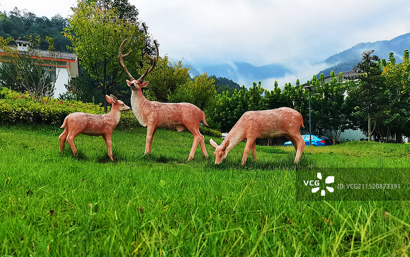 甘肃康县岸门口镇朱家沟村自然风光图片素材