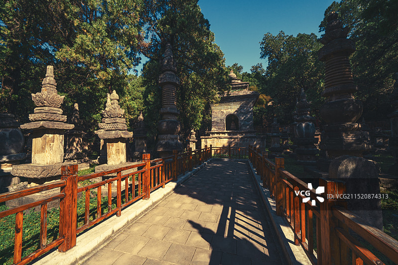 山东济南灵岩寺墓塔林图片素材