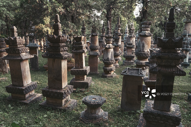 山东济南灵岩寺墓塔林图片素材