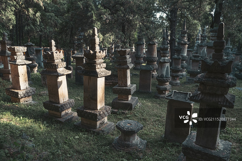 山东济南灵岩寺墓塔林图片素材