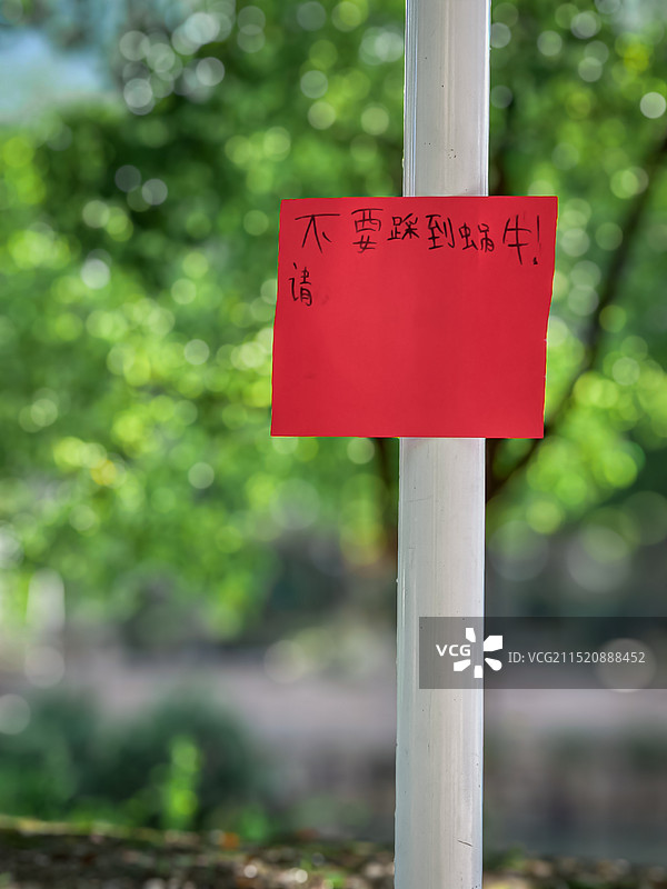 请不要踩到蜗牛图片素材