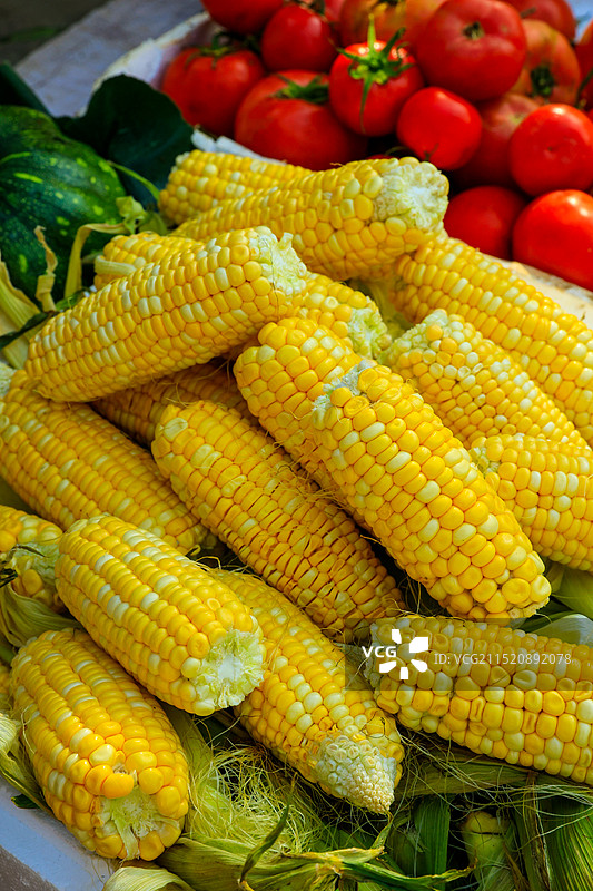 玉米图片素材