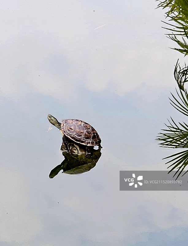 “坐井观天”图片素材
