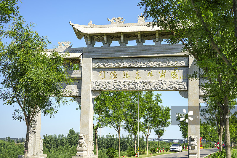 滨州市博兴县打渔张森林公园图片素材