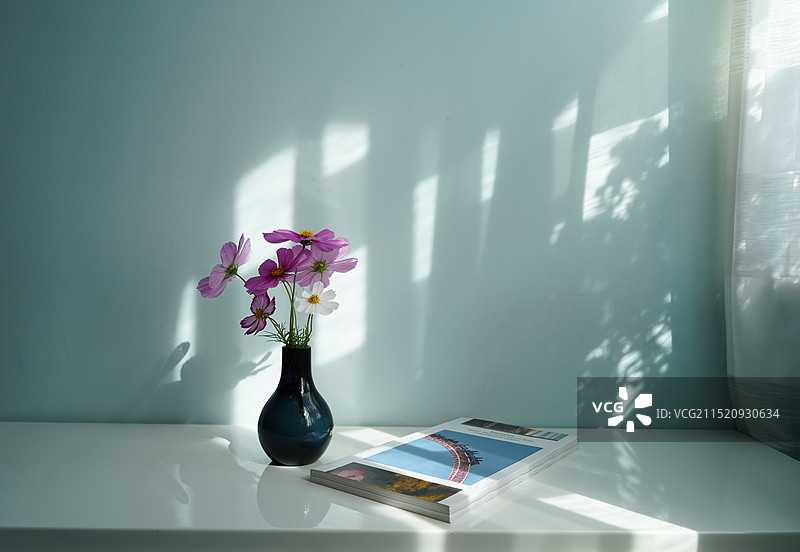 桌面上的花图片素材