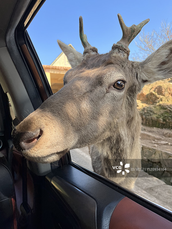 重庆乐和乐都景区图片素材