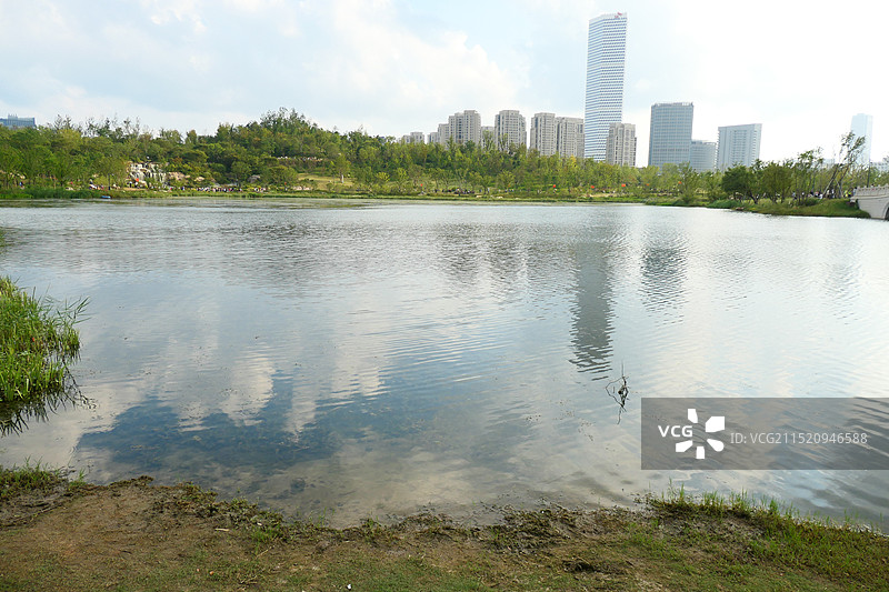 上海世博文化公园中心湖夏天秋天过渡时节景色图片素材