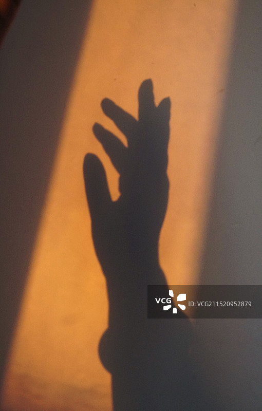 手的影子图片素材