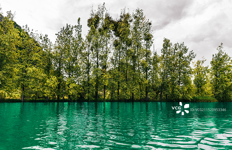 湖边的树林里的树在天空的衬托下普者黑图片素材