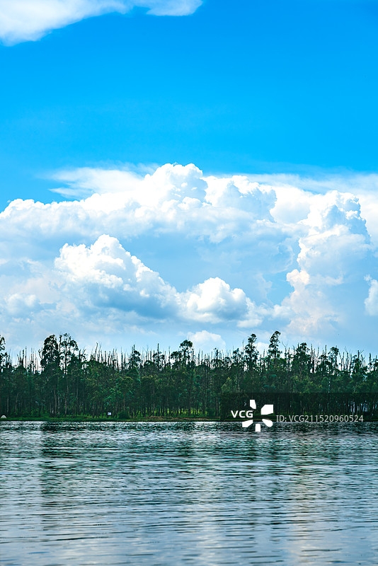 蓝天白云与湖边树林-云南省文山州丘北县普者黑景区图片素材
