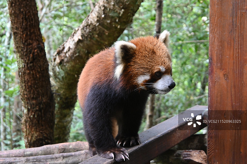 普洱国家公园景区图片素材