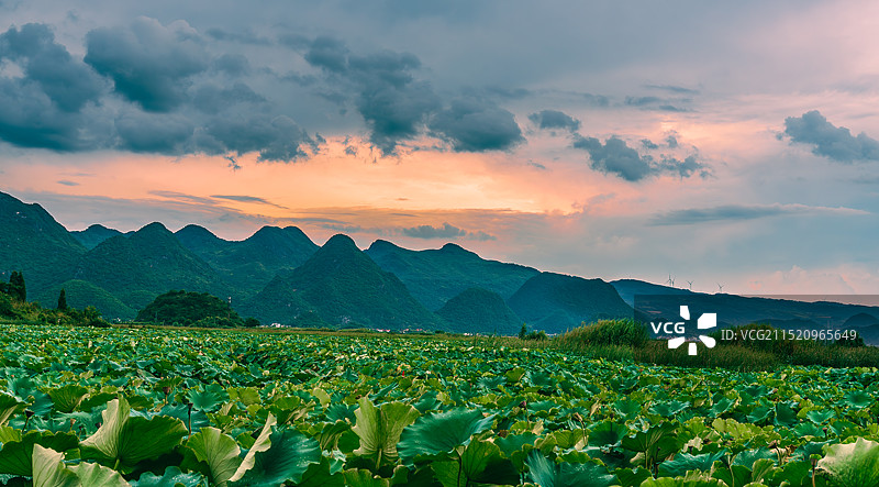 夏季美丽的云南普者黑晚霞图片素材