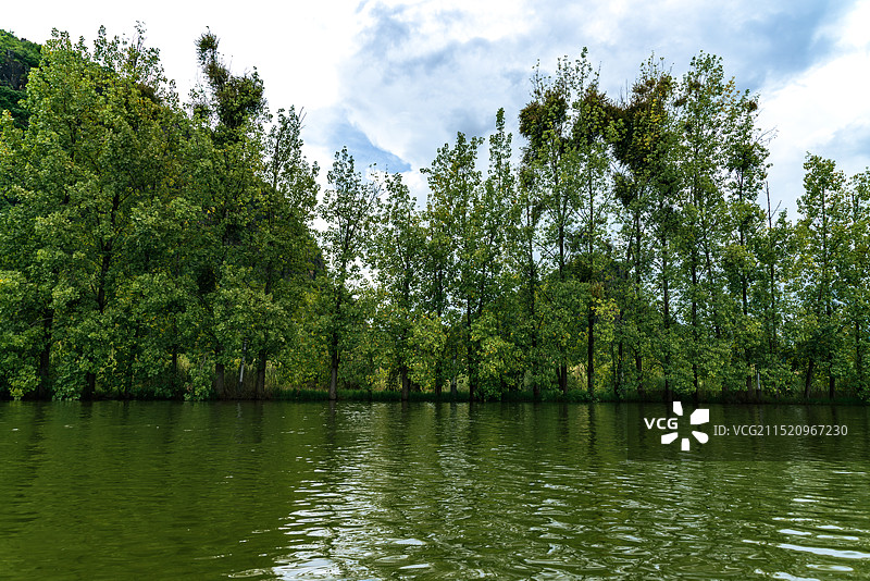 文山州丘北县普者黑景区-湖中的树木和植物图片素材