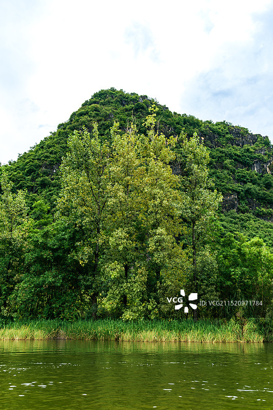 云南省普者黑景区-绿树图片素材