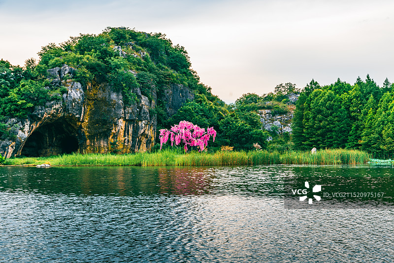 云南省文山州丘北县普者黑风景区天鹅湖图片素材