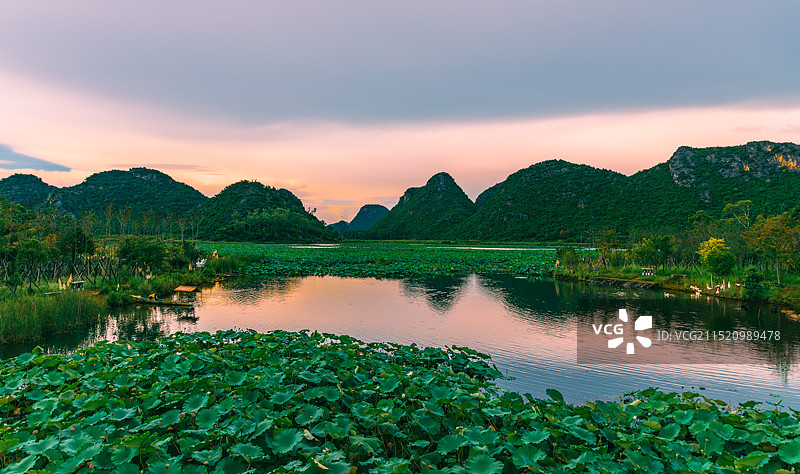 文山州丘北县普者黑天鹅湖图片素材