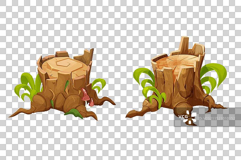 带根草的木桩森林树干图片素材