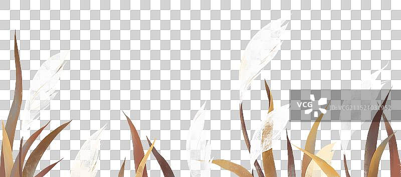 重阳节插画芦苇插画元素横版图片素材