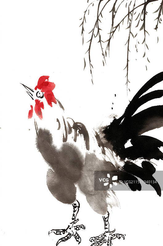 柳枝下的公鸡图片素材