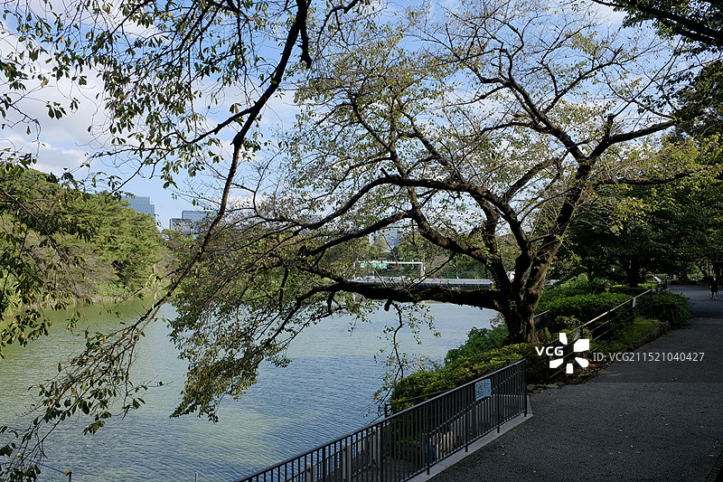 日本东京皇居外苑护城河图片素材