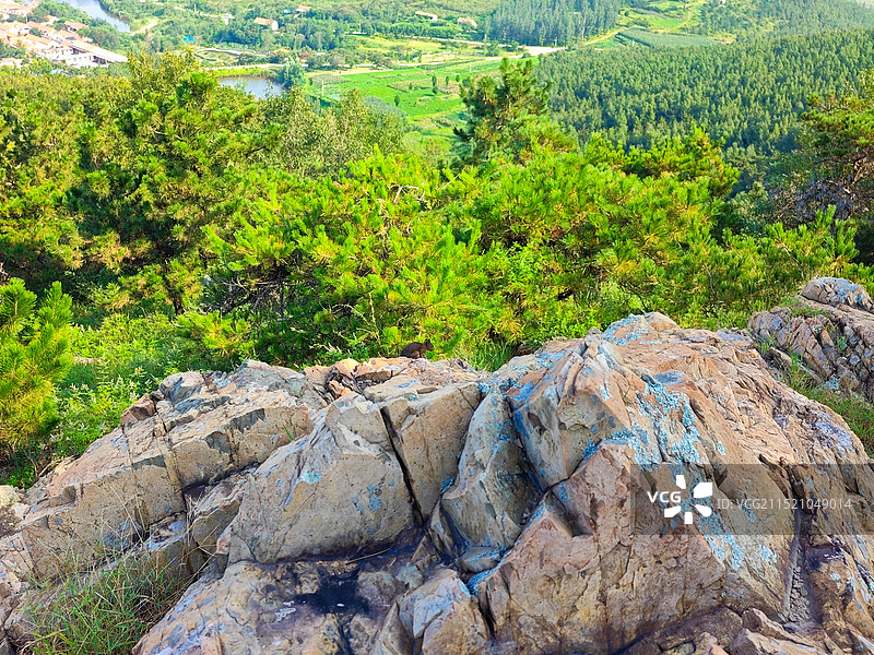 处暑节气莒县屋楼崮山巧遇小松鼠图片素材
