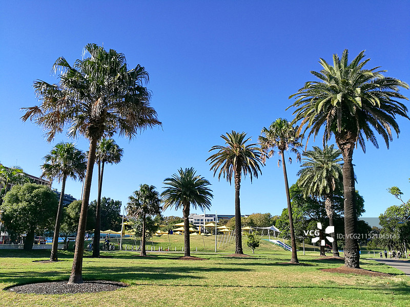 澳大利亚悉尼Prince Alfred Park图片素材