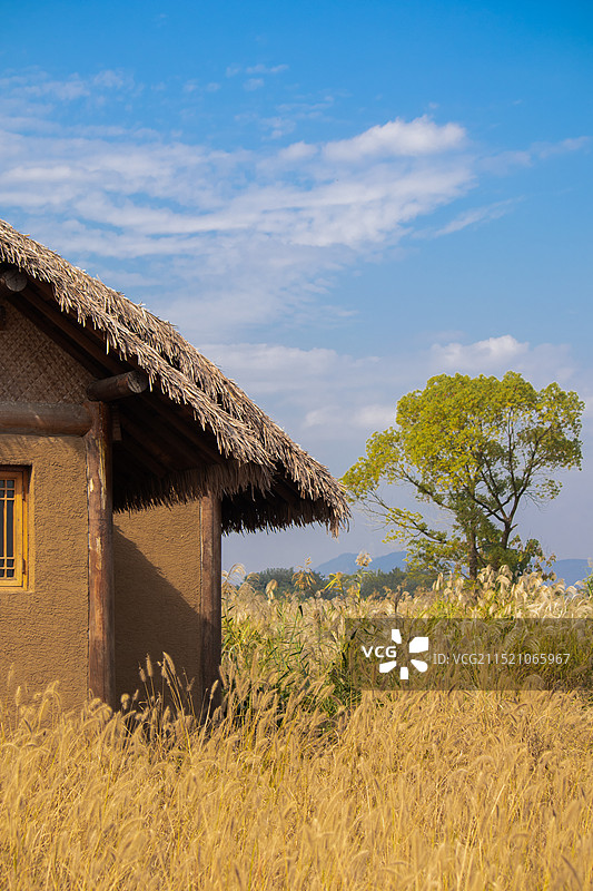 茅屋图片素材