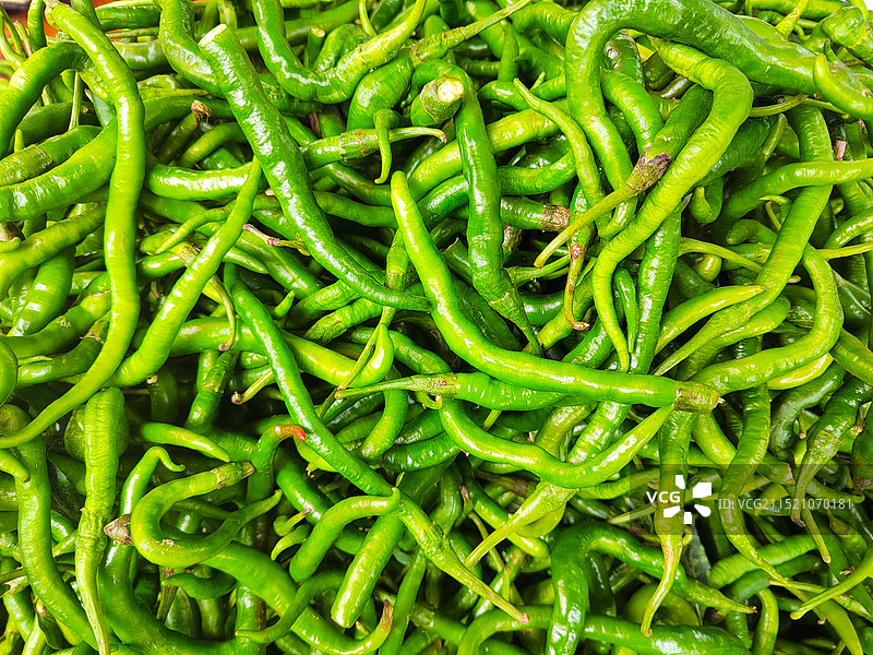 绿色的辣椒图片素材