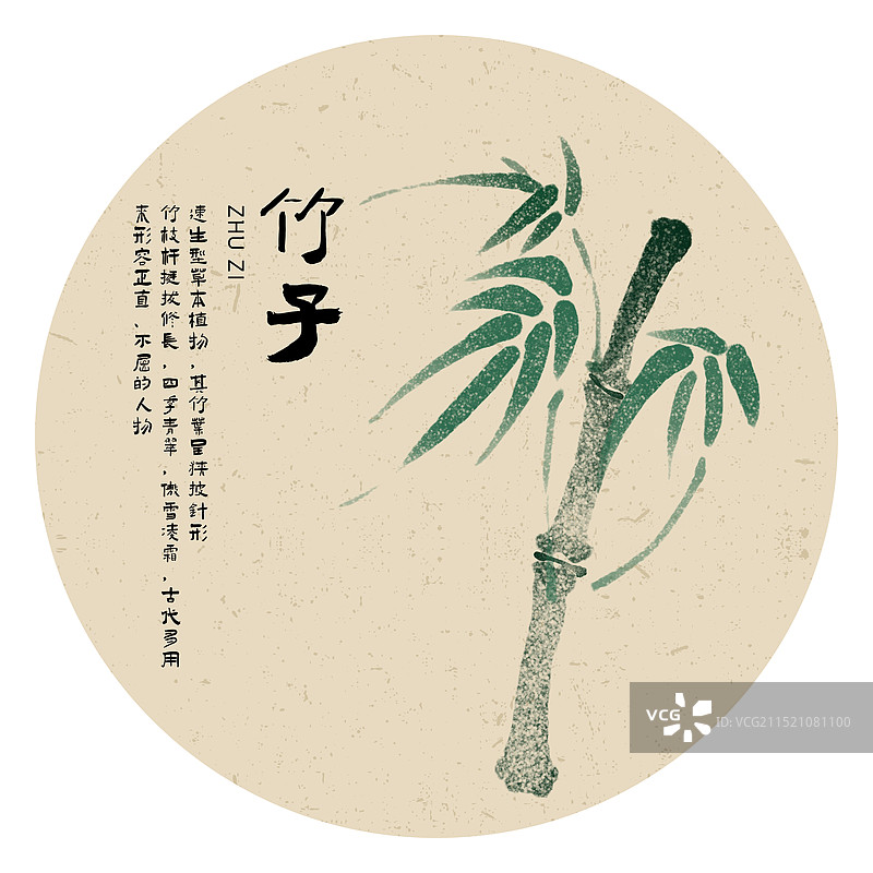 水墨国风竹子科普手绘插画图片素材