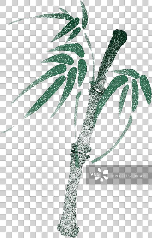 水墨国风竹子科普手绘插画元素图片素材