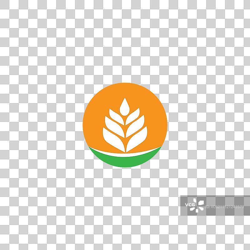 小麦Logo概念标志图标符号设计图片素材