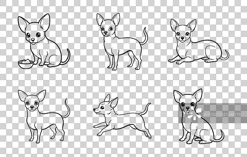 吉娃娃犬线条艺术打印图案合集图片素材