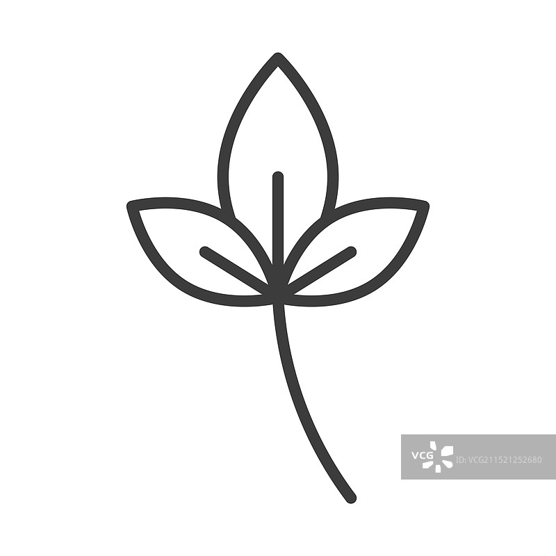 白色背景上的罗勒线条图标图片素材