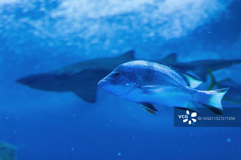 珠海长隆飞船乐园图片素材