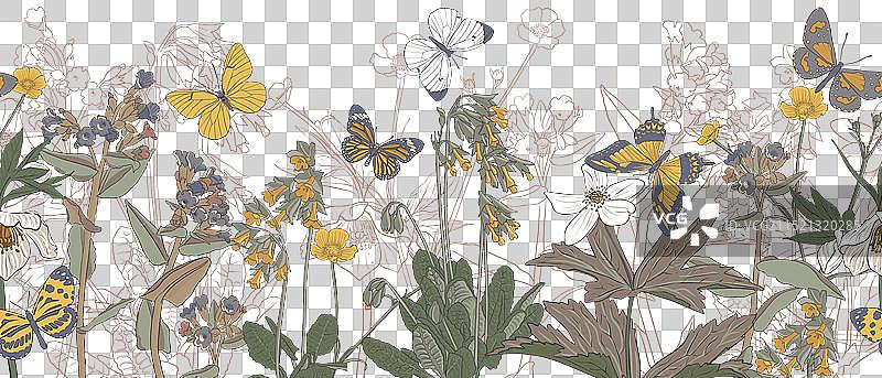 报春花无缝图案图片素材