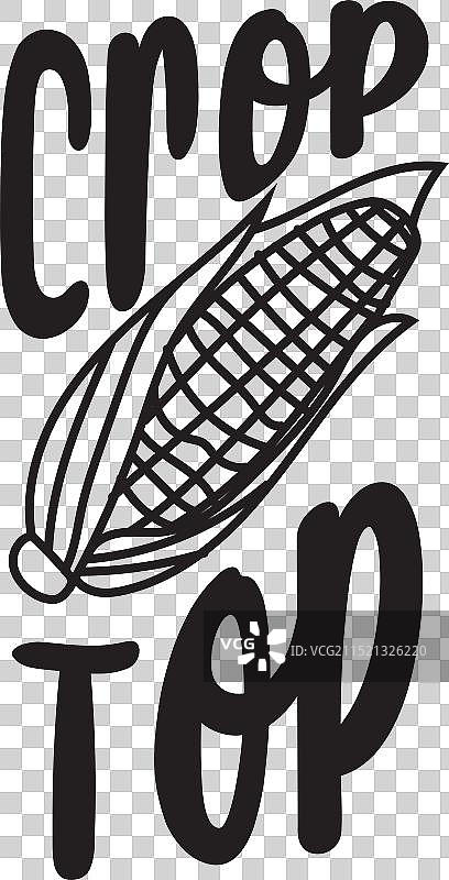 白色背景上的露脐上衣设计图片素材