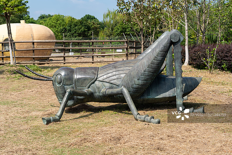 苏州大阳山植物园 蝗虫雕像图片素材