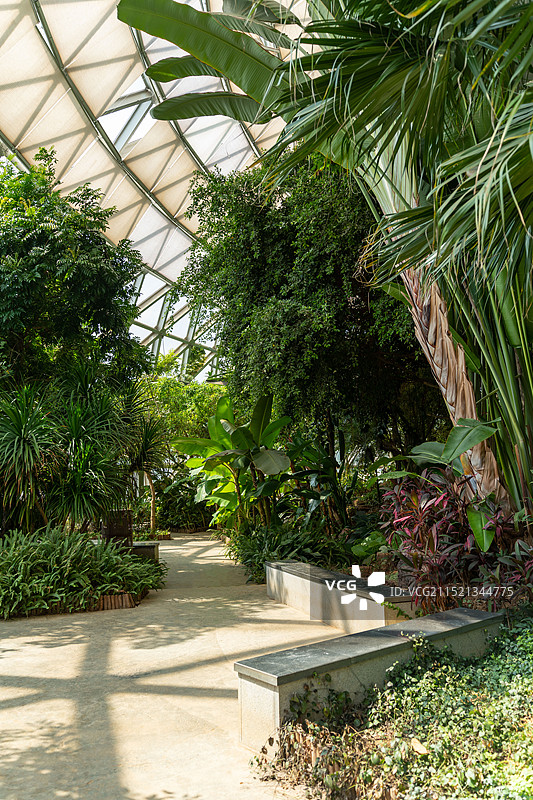 苏州大阳山植物园 热带植物温室图片素材