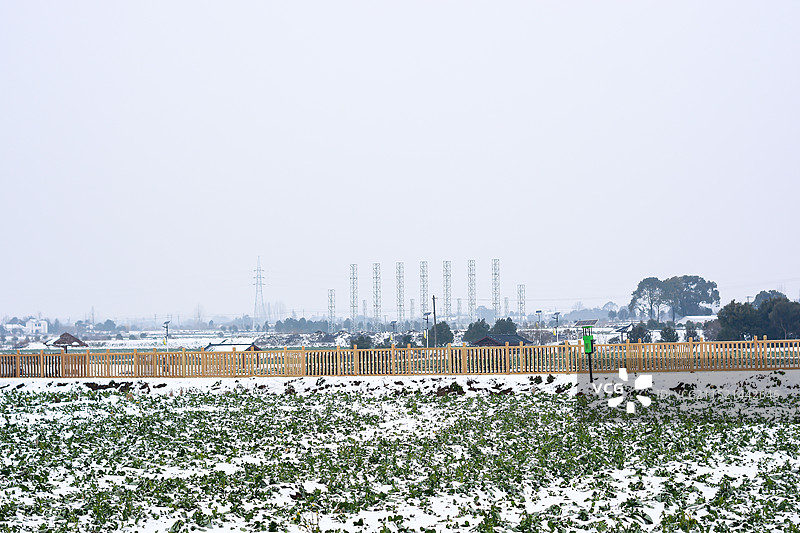 冬天的雪野图片素材