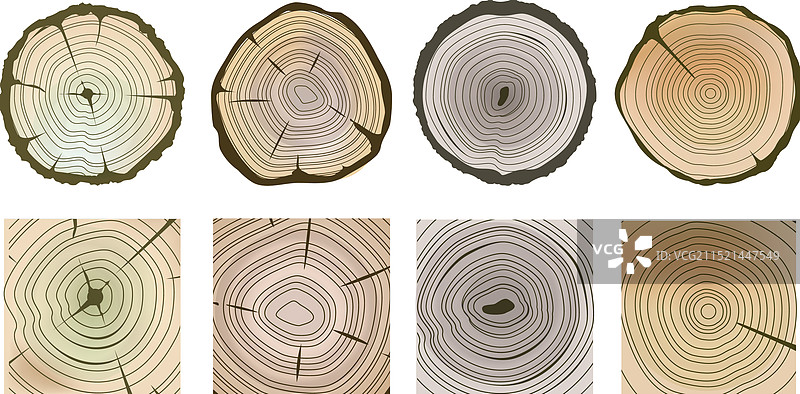 木制树干特写环图片素材