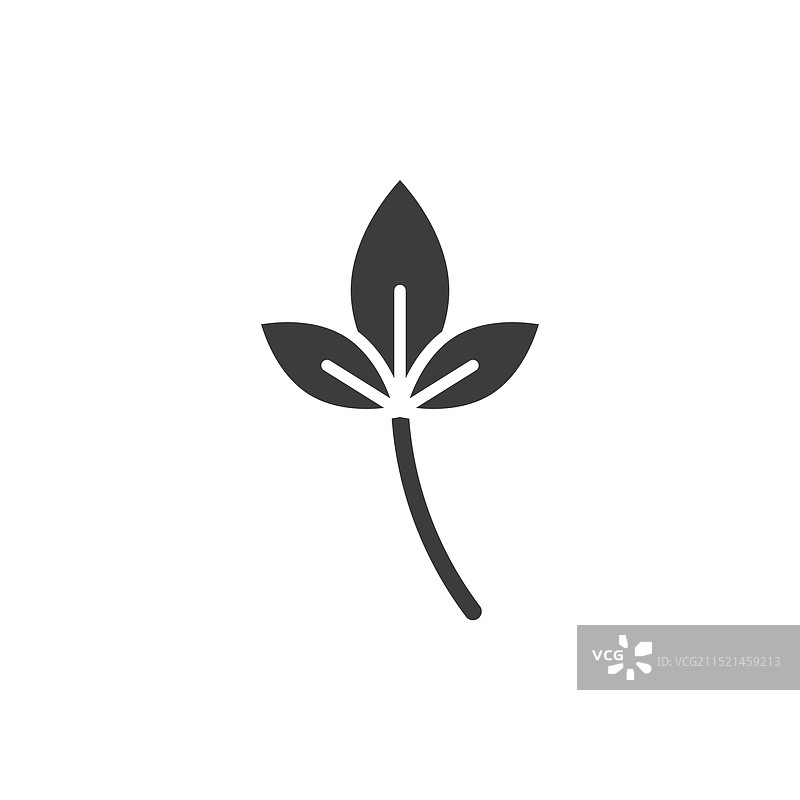 白色背景上的罗勒线条图标图片素材