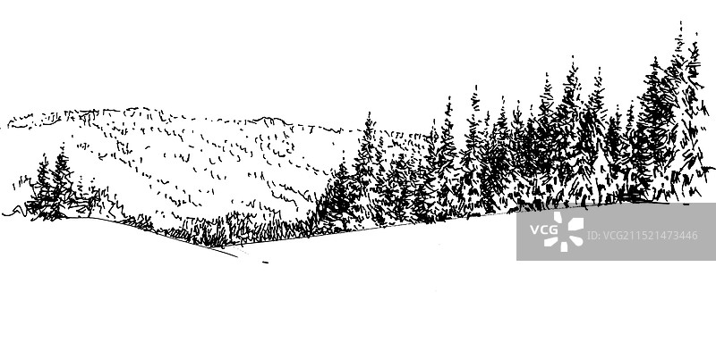 温哥华的松林雪景图片素材