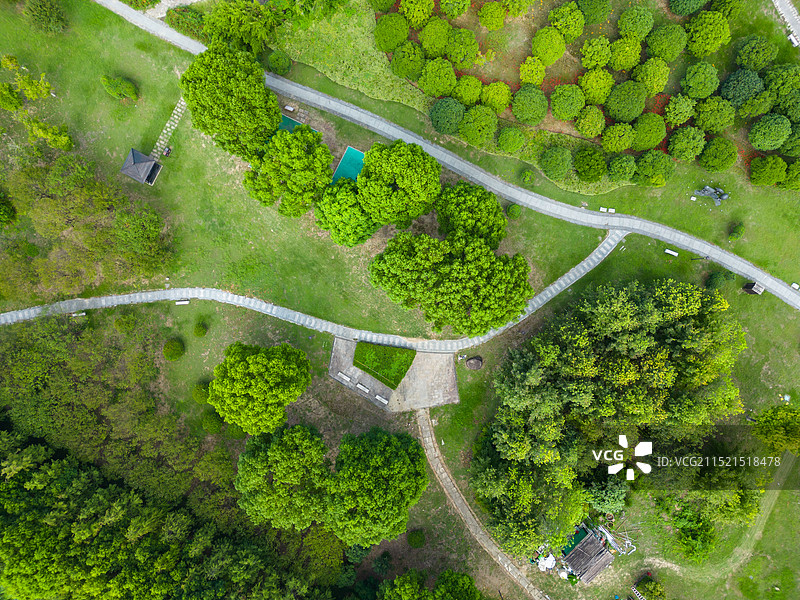 苏州大阳山植物园航拍图片素材