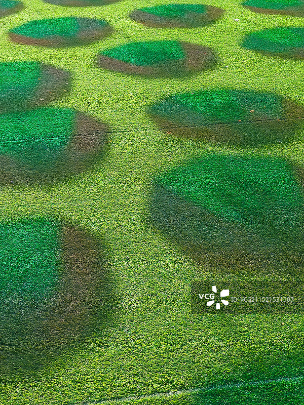 彩色草地全帧拍摄图片素材