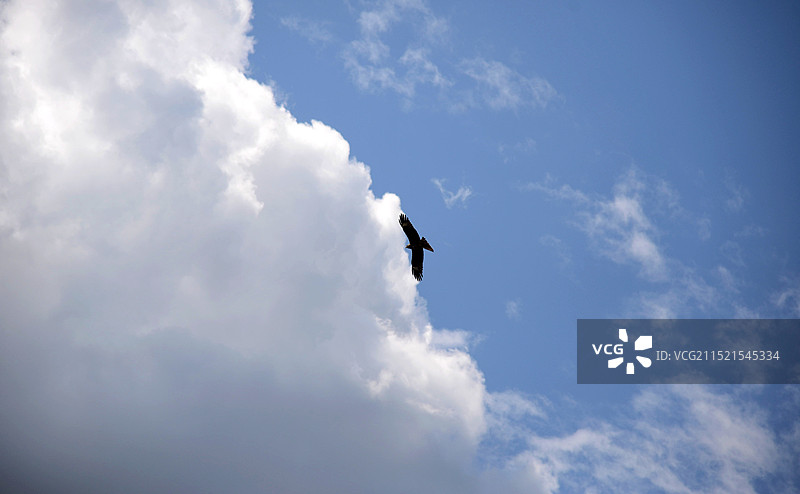 入云深处图片素材