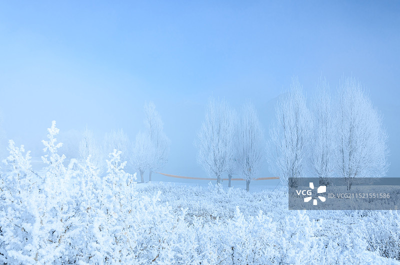 西藏拉萨河畔冬天雾凇雪景绝美白色世界图片素材