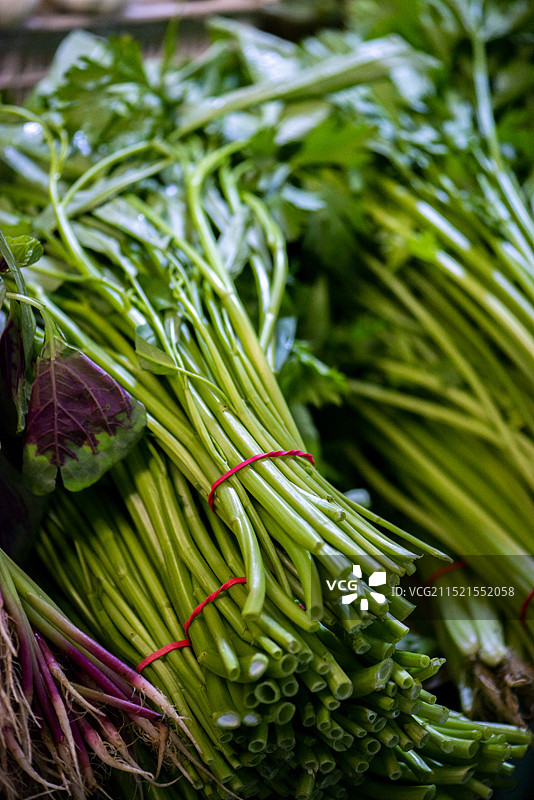 空心菜图片素材